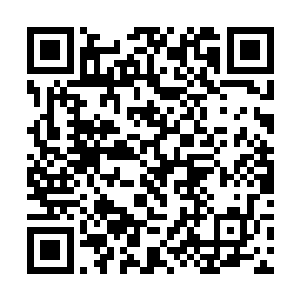 之前我已经让政务院相关部门去拟定一个大移民计划二维码生成