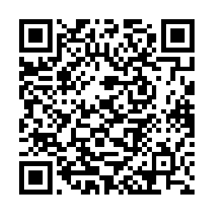 之前我结交的一个堕落者和这里的一个大家族有关系二维码生成