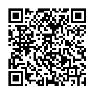 之前我还惊讶向楚南为什么没有修行却能对抗玄命境二维码生成