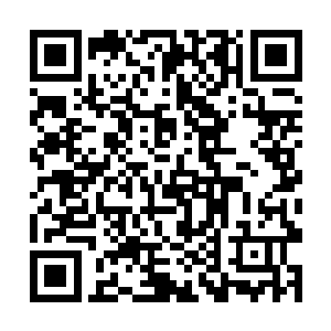 之前拍诺贝尔奖获得者头像的家伙们都该吊死在挪威二维码生成