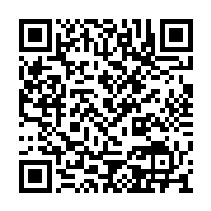 之前易红仙人预知到大麻烦给流墨墨他们说了后二维码生成