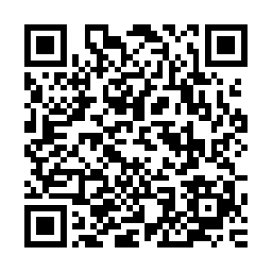 之前有能力与你竞争岛主宝座的肖彦宇怎么会死在红荒秘境里二维码生成