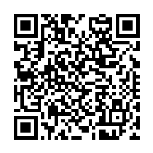 之前木希尘的插曲仿佛已经被众人抛在脑后遗忘掉二维码生成