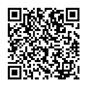 之前杀那些金色蜜蜂的疯狂和代价还血淋淋的历历在目二维码生成