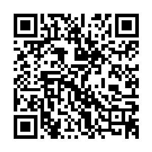 之前杨晨在后花园里说的那番话……难道不是临走之前的气话二维码生成