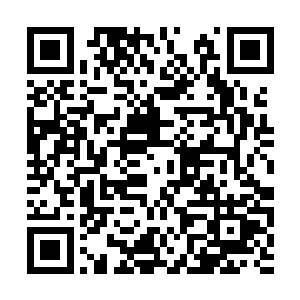 之前林烽还只是怀疑灵灵也具备了一种特殊的体质二维码生成