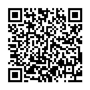 之前比赛楚楚师父赵狐狸不也是给这么一阵乱打莫名其妙输了么二维码生成