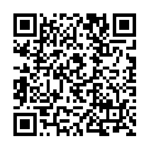 之前江水柔说她哥哥和教授搞的科研项目赚了两千万二维码生成