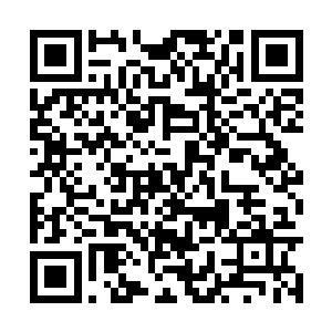 之前没有贸然动手炼制生身果确实是个明智的决定二维码生成