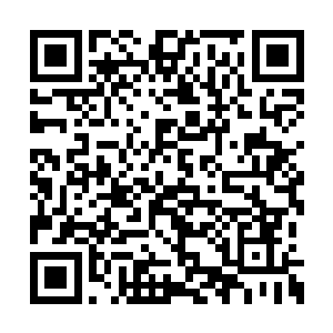 之前派去保护白面的人已经将这个消息告诉我了二维码生成