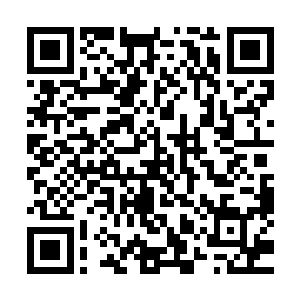 之前灵光闪过把妖魂本源和本命妖力大部分分据到本命金羽中二维码生成