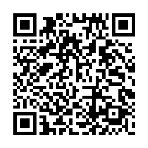 之前焚天禄的行为龙傲天显然是已经手下留情了二维码生成