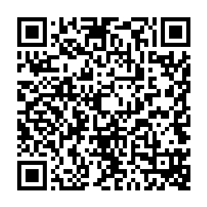 之前的一系列比赛和排位他已经让无数观众见识过了自己胆大心细这一优点二维码生成