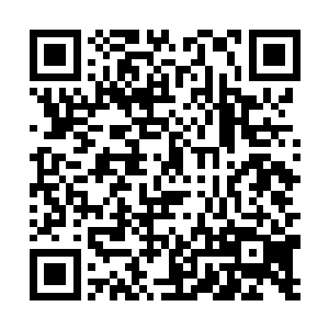 之前的交手他已经完全丧失了和苏凡继续对峙的勇气二维码生成