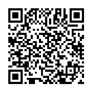 之前的人加上跟着龙天和灰团子一起过来的人非常多二维码生成