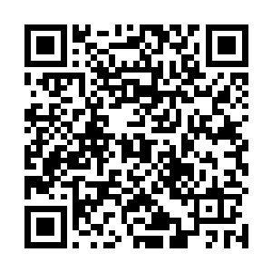 之前的战斗已经证明了这些鬼卫一个个都没有痛觉神经二维码生成