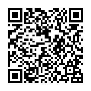 之前的时候从元辰那里杨戬也得到了关于血冥谷的事情二维码生成