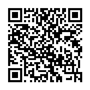 之前的时候他们在知道杨戬竟然是从神弃之地出来的之后二维码生成