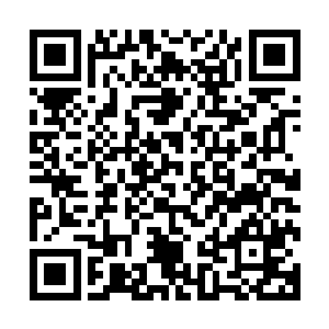 之前的时候他们已经感觉到外面的天地元气已经十分的浓郁了二维码生成