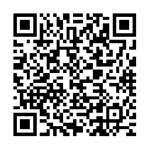 之前的时候他只是将龙傲天当做了一个走了狗屎运的小人物而已二维码生成