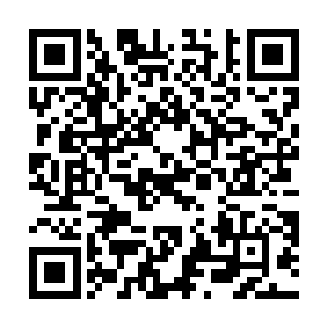 之前的时候你的身体和气血虽然说的确是锤炼到了极致二维码生成