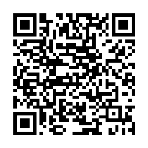 之前的时候天玄圣地的高手已经全都被杨戬干掉了二维码生成