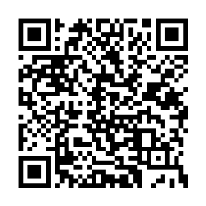 之前的时候我们两个斩杀的的确是三尊凶兽皇者二维码生成