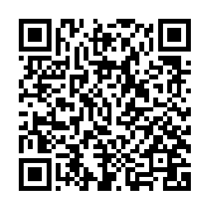 之前的时候我们斩杀的血狱怪物为什么会有大道功德之力降下二维码生成