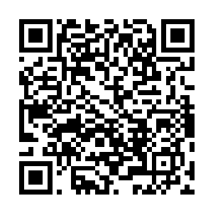 之前的时候杨戬也听过杨博说过杨家有一个老祖宗的存在二维码生成