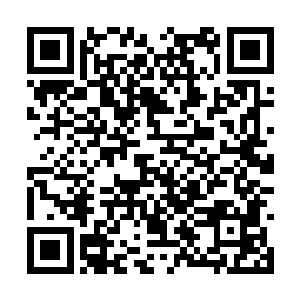 之前的时候玄青青的反应的确也是让他们大吃一惊二维码生成