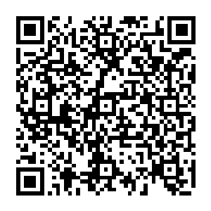 之前的时候苍穹主神在跟杨戬见面的时候自然也注意到了杨戬身边的孙悟空和弑神二维码生成