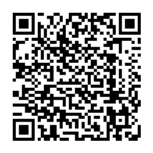 之前的时候虽然说从太元的传承之中龙傲天已经知道生命之源十分的逆天二维码生成