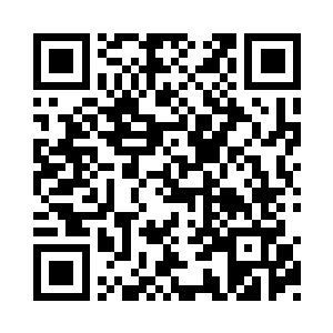 之前的时候虽然说太玄宗的几个人一直被压制二维码生成