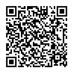 之前的时候被手铐脚镣缠住的两个老者此时见到这一幕之后顿时也是大笑道二维码生成
