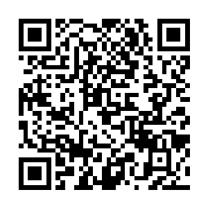 之前的时候龙傲天就已经感觉这里面乃是一个i额修炼圣地了二维码生成