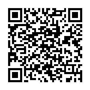 之前的时候龙傲天见到的最大的也不过几百米而已二维码生成