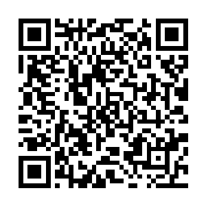 之前的船员就带着一个身穿灰白色长袍的白发老者走了过来二维码生成