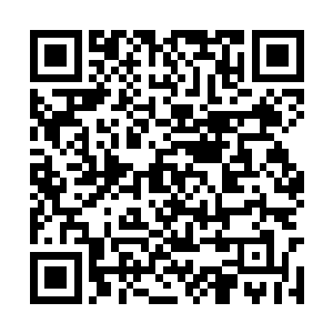 之前的那个半绝品灵兵的金黄色鞭子再次出现掌心二维码生成