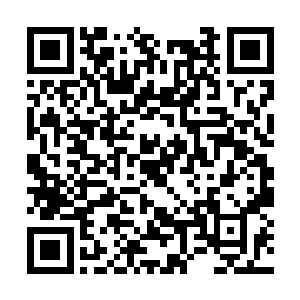 之前的那些家伙也肯定不会给他吴虎臣任何的活路二维码生成