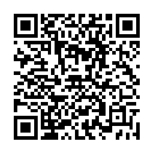 之前秦方还以为只要是大师级层次就可以闯的过去二维码生成