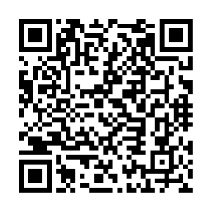 之前秦雨盛可是使用出了烈阳刀这么邪气的灵器了二维码生成