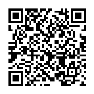 之前第一个回绝三圣子的那个蓝姓青年随即开口道二维码生成