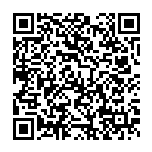 之前第一场战斗依靠神力铠甲获胜的战士明显搞不清楚现在的状况二维码生成