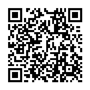 之前缩在安全的沧游宗内的仙人们正在打扫战场二维码生成