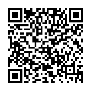 之前荒芜的大地这个这个时候居然已经沾满了小草二维码生成