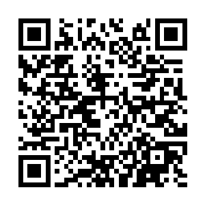 之前被他收入纳物世界的澹台凌月和聂铜同时出现二维码生成