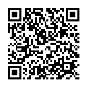 之前被她搁浅到一边的画面又不可抑制地涌上她的心头二维码生成