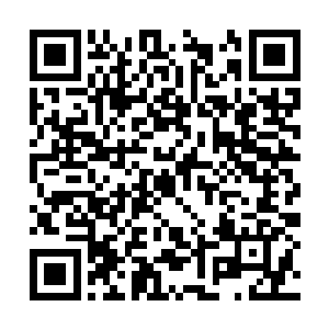 之前被棒子国玩家们嘲笑讽刺的那些气全部都通了二维码生成