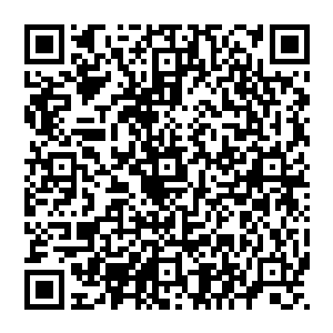 之前被自己所封锁在那收缩近空间与火海之中的鬼邪青寒冰兽灵玉手也全部都被这颤抖的大地所震出来了二维码生成