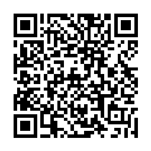 之前被荒古巨人追杀的女子看着那一闪而逝的背影二维码生成